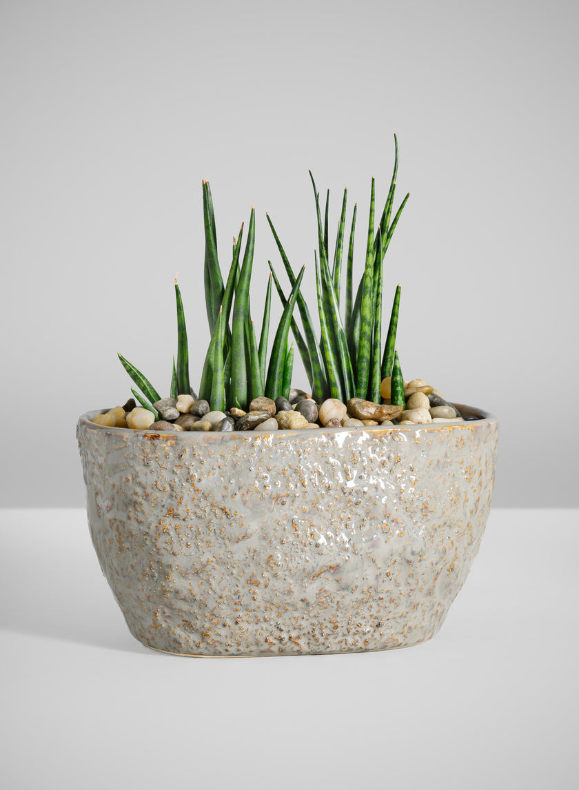 4.5in Tall Bursa Oval Taupe Ceramic Cachepot Decor Jamaligarden