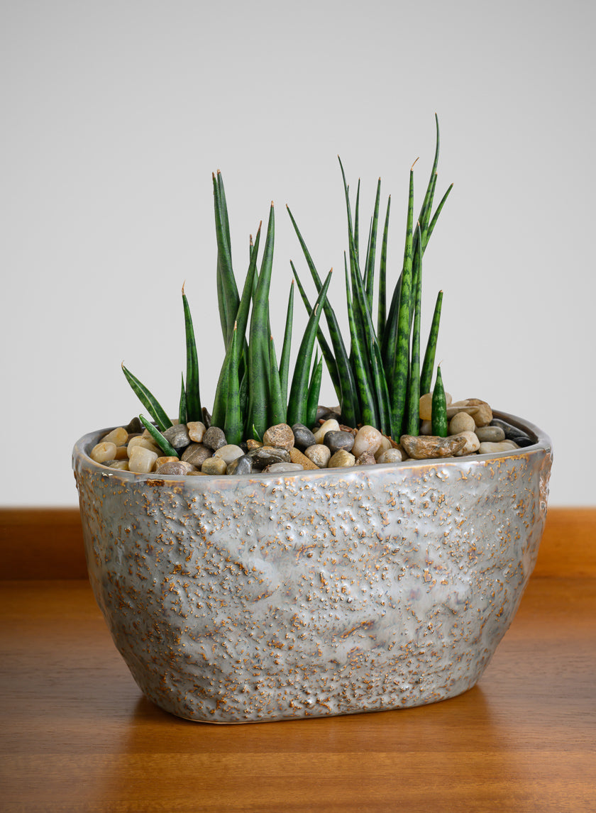 4.5in Tall Bursa Oval Taupe Ceramic Cachepot Decor Jamaligarden
