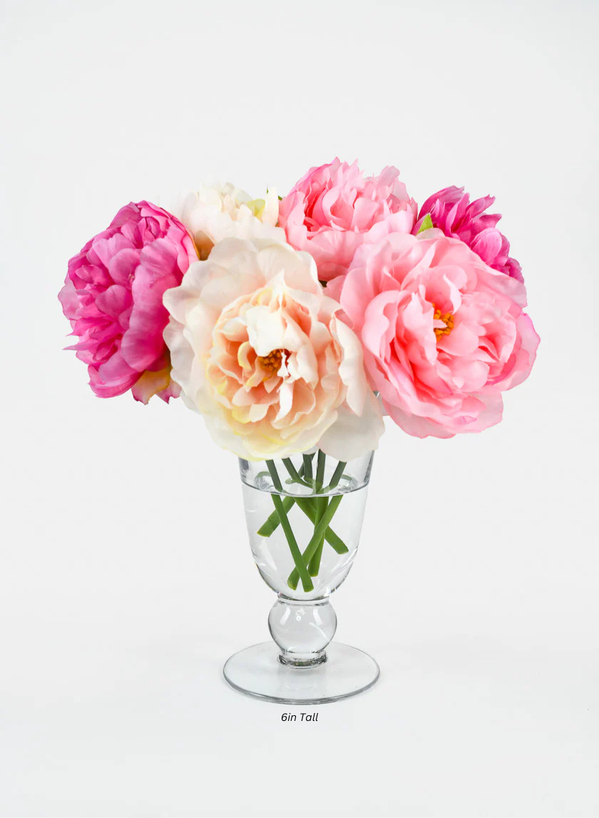 Vienna Clear Glass Urns Decor Jamaligarden 6in Tall EACH