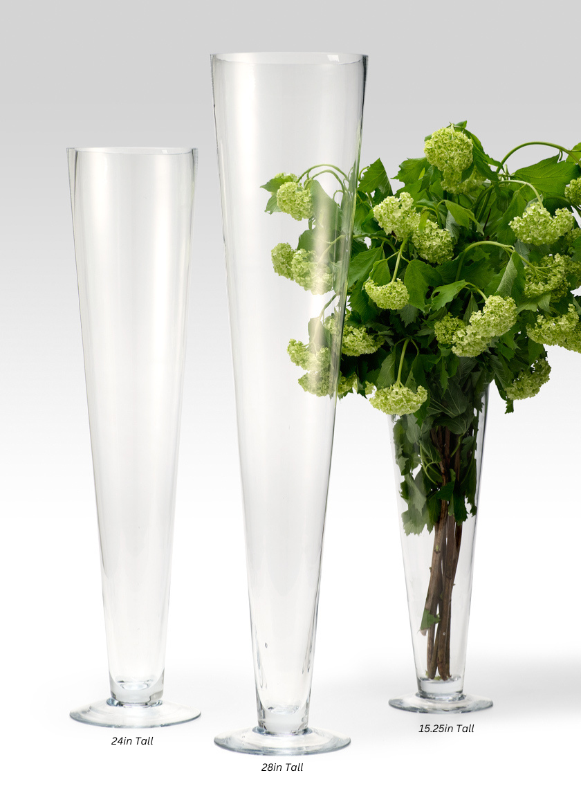 Clear Glass Trumpet Vases Decor Jamaligarden