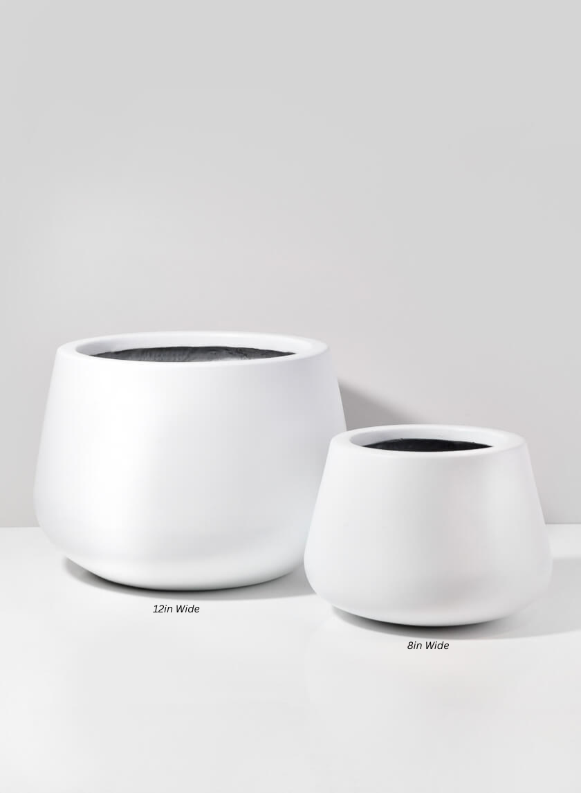 Pyxis White Fiber Stone Pot Decor Jamaligarden