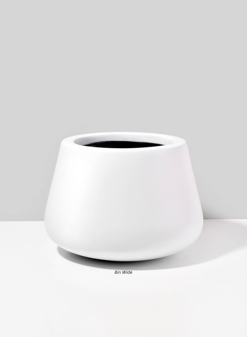 Pyxis White Fiber Stone Pot Decor Jamaligarden 8in Wide EACH
