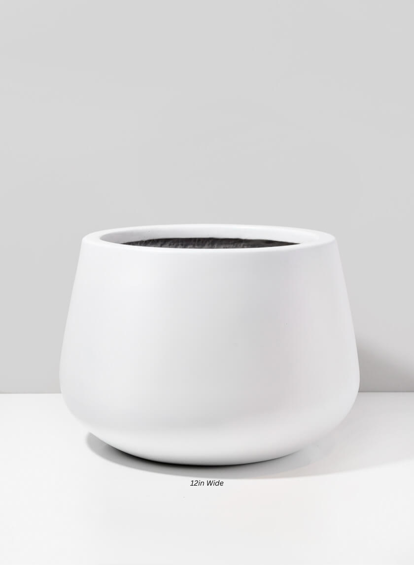 Pyxis White Fiber Stone Pot Decor Jamaligarden 12in Wide EACH