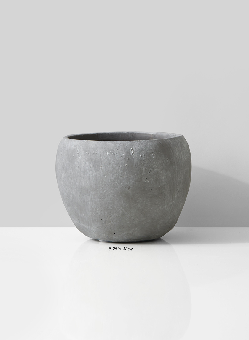 Atelier Cement Fishbowl Vase Decor Jamaligarden Gray 5.25in Wide EACH