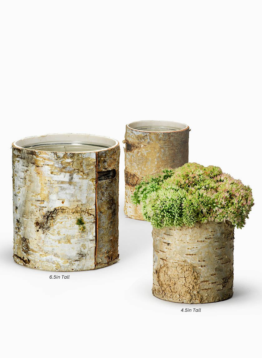 Round White Birch Vases Decor Jamaligarden