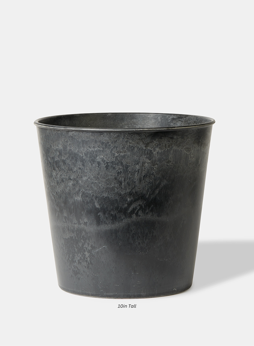 Aged Black Flower Bucket Decor Jamaligarden