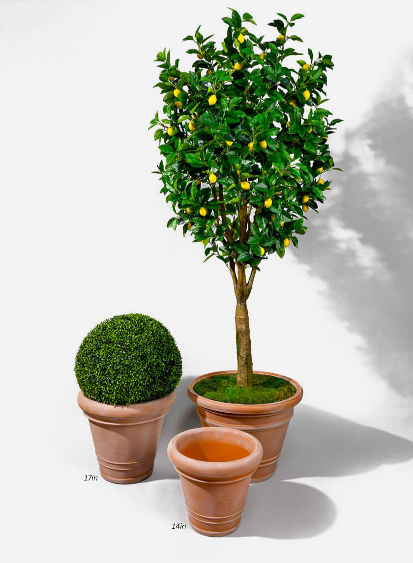 Impruneta Rolled Rim Planter Decor Jamaligarden