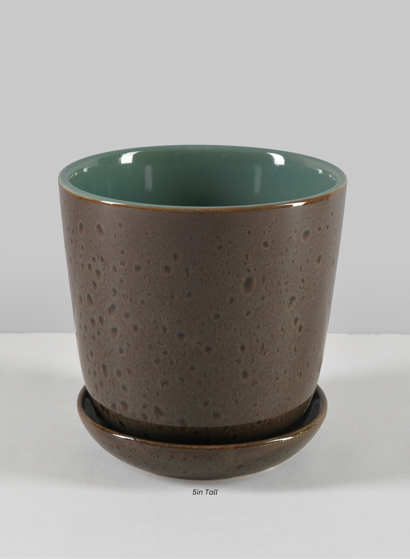 Cobra Black Dotted Green Pot Decor Jamaligarden 5in Tall EACH
