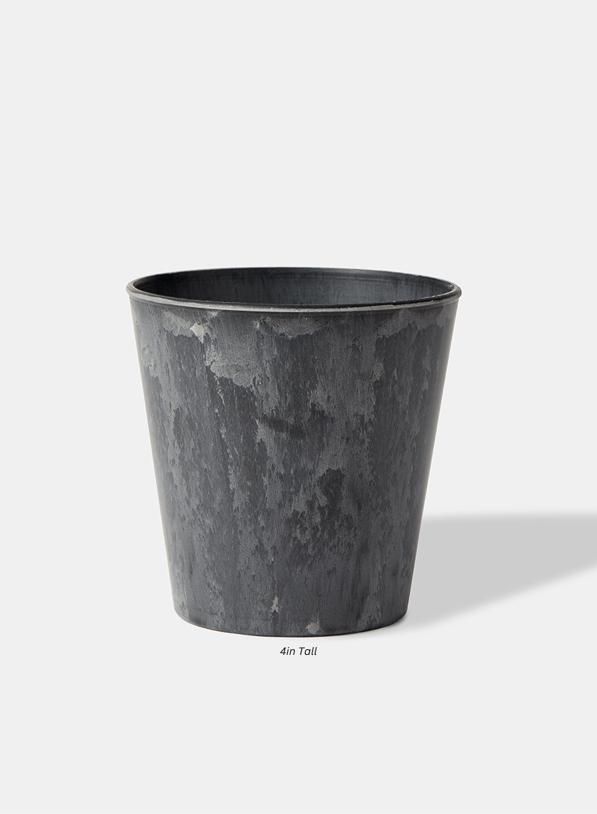 Aged Black Flower Bucket Decor Jamaligarden