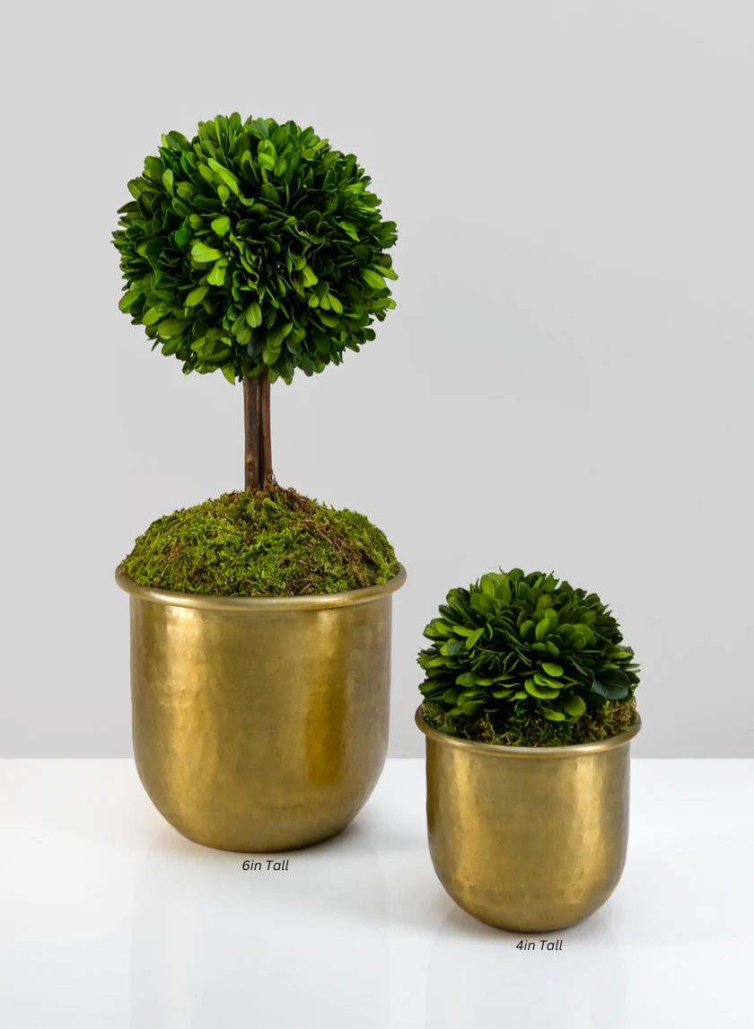 LuckNow Brass look Aluminum Pot Decor Jamaligarden
