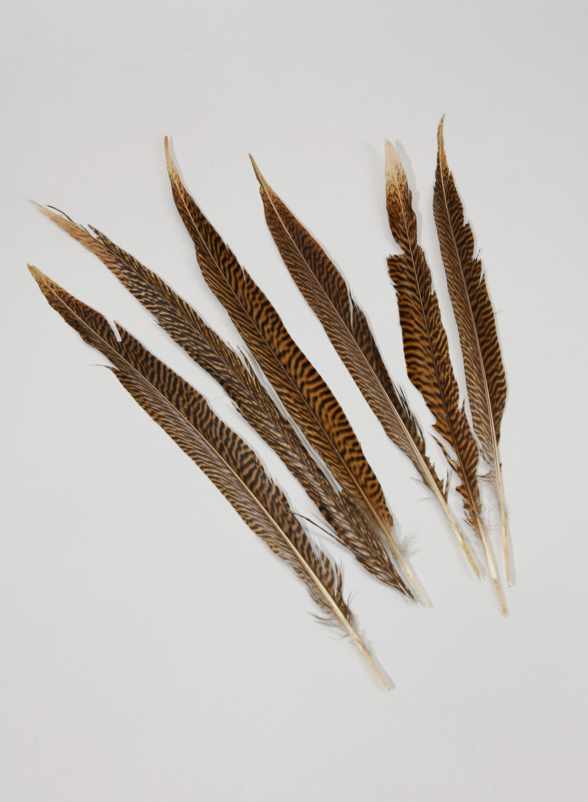 14-16in Golden Pheasant Tail Decor Jamaligarden