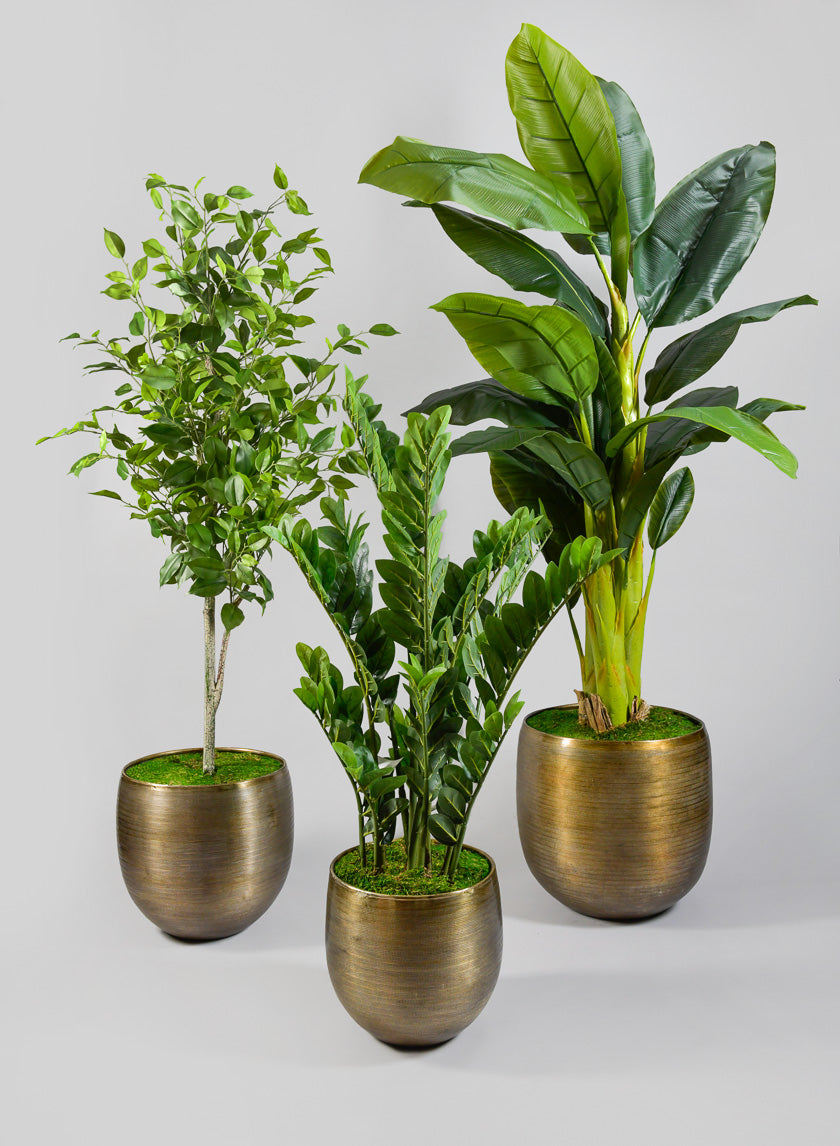Chatai Cache Pot Planter Decor Jamaligarden