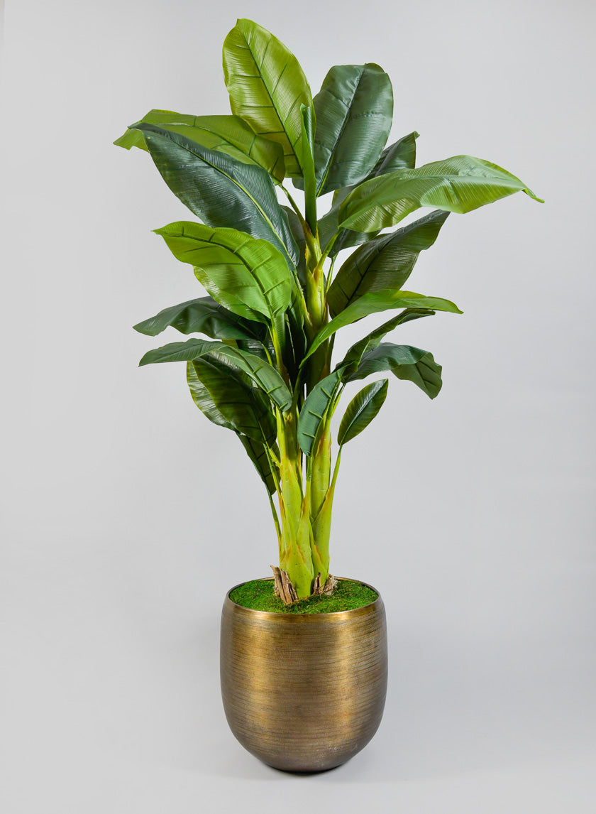Chatai Cache Pot Planter Decor Jamaligarden 16.5in Tall EACH