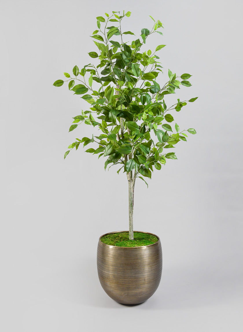 Chatai Cache Pot Planter Decor Jamaligarden 14in Tall EACH