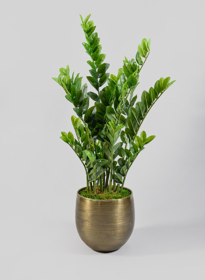 Chatai Cache Pot Planter Decor Jamaligarden 11.5in Tall EACH