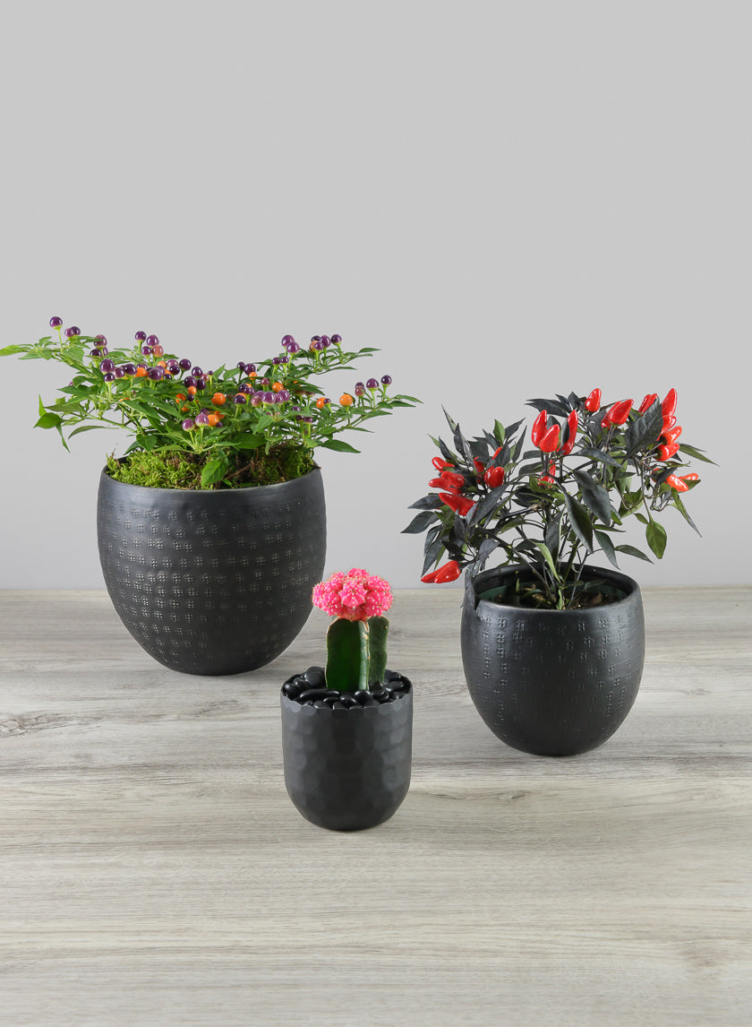 Anga Aluminum Ethnic Black Pot Decor Jamaligarden