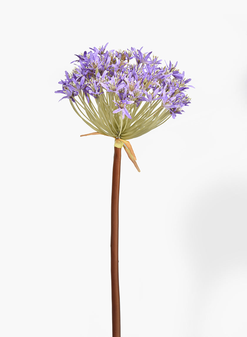 34in Long Purple Allium Decor Jamaligarden