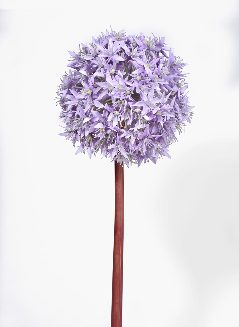 35in Light Purple Allium Decor Jamaligarden