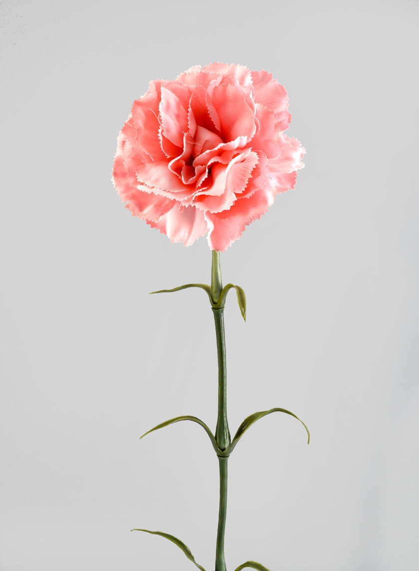 24in Long Pink Carnation Decor Jamaligarden