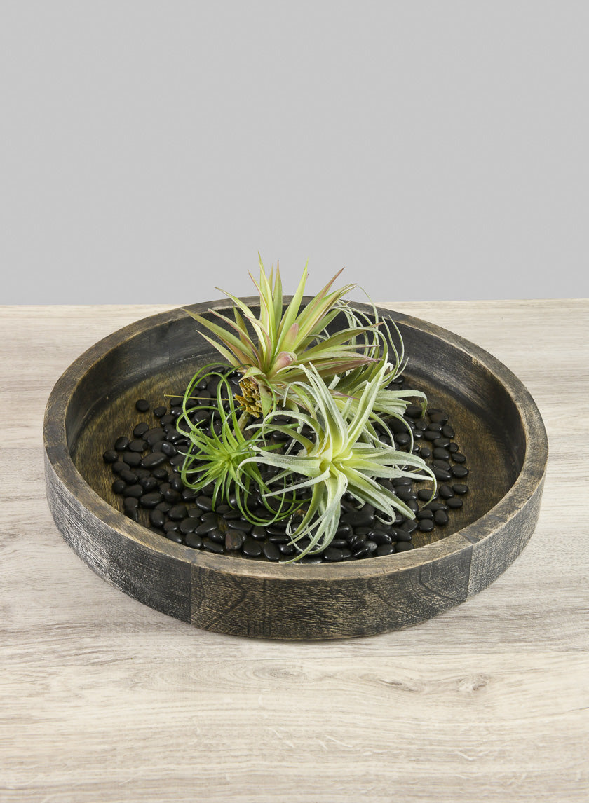 14in Wide Belgham Brushed Black Round Tray Decor Jamaligarden