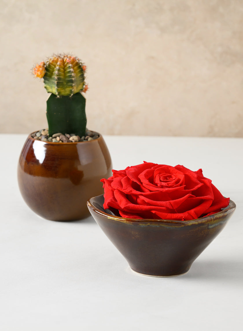 3.25in Tall Guan Oxblood Mini Ceramic Pots, Set of 2 Decor Jamaligarden
