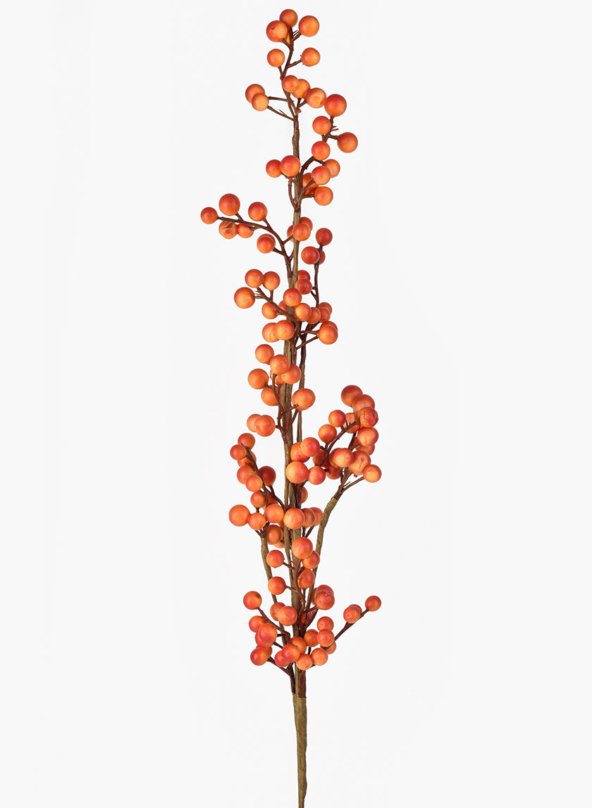 Orange Fall Berry Pick Decor Jamaligarden