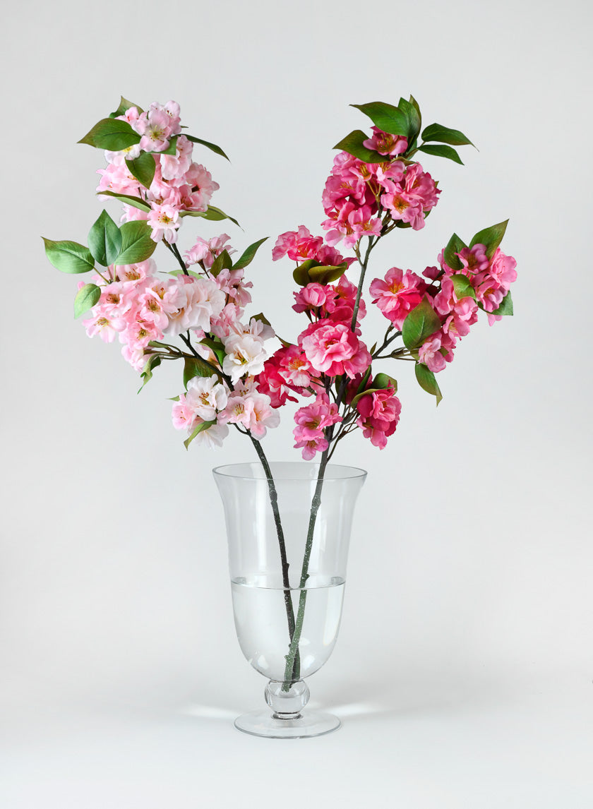 Vienna Clear Glass Urns Decor Jamaligarden