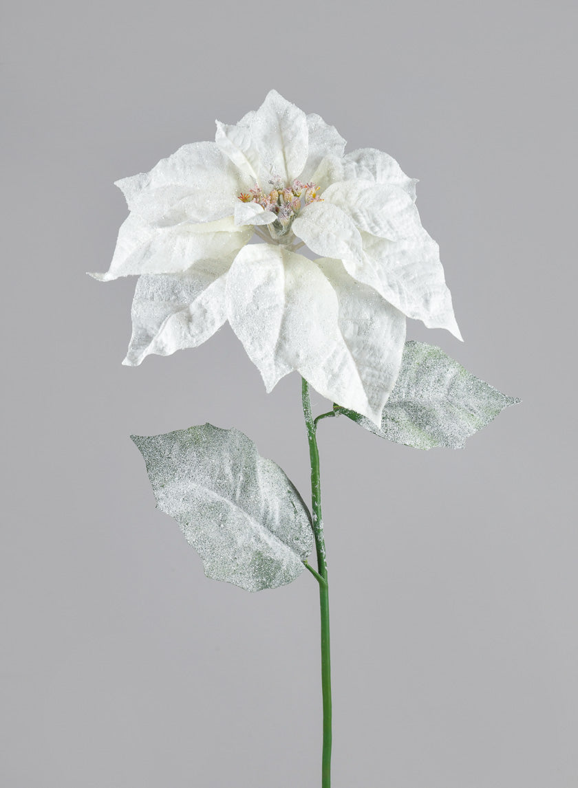 26in Long Glitter Frost Poinsettia Spray Decor Jamaligarden