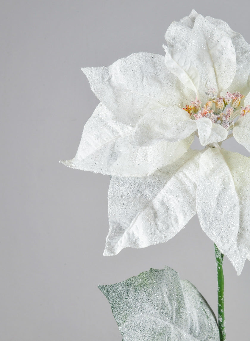 26in Long Glitter Frost Poinsettia Spray Decor Jamaligarden