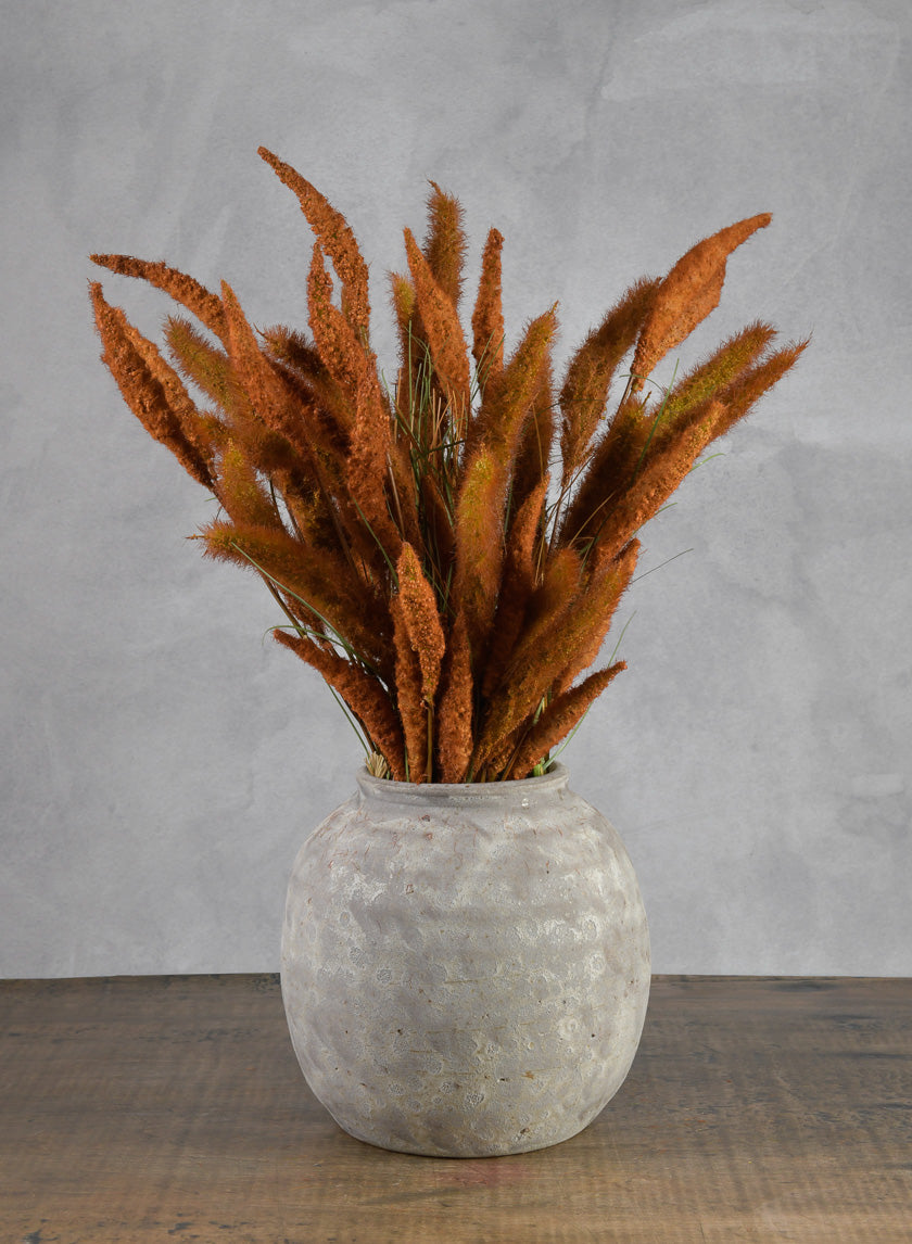 27.5in Long Brown Setaria/Onion Grass Bundle Decor Jamaligarden