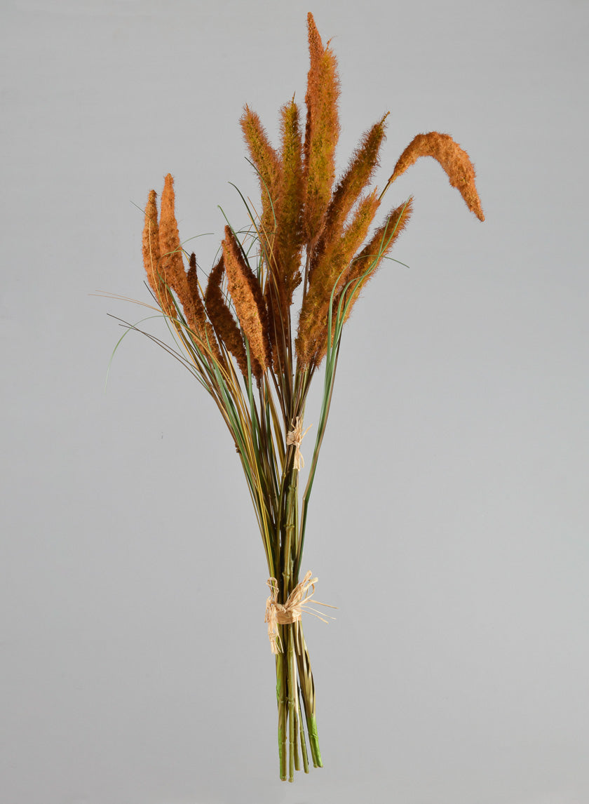 27.5in Long Brown Setaria/Onion Grass Bundle Decor Jamaligarden