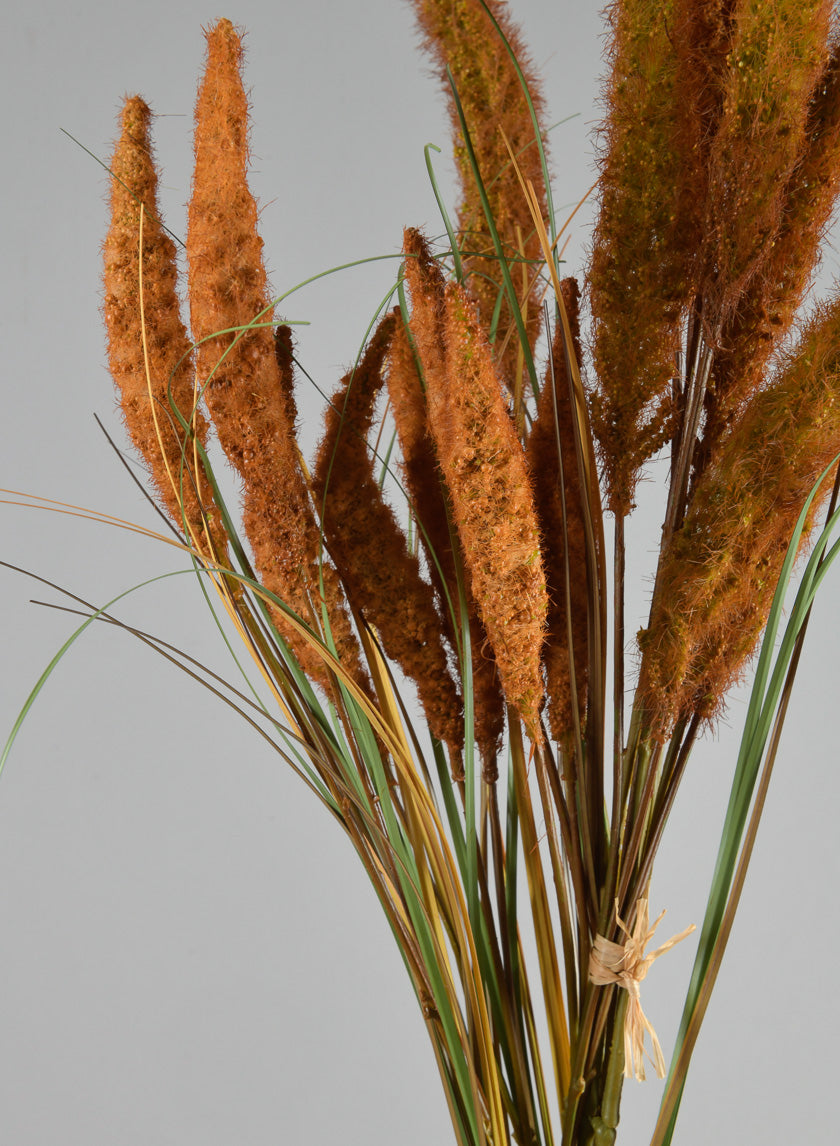 27.5in Long Brown Setaria/Onion Grass Bundle Decor Jamaligarden