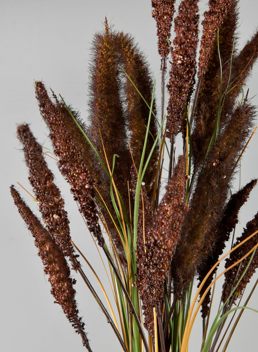 27.5in Long Burgundy Setaria/Onion Grass Bundle Decor Jamaligarden