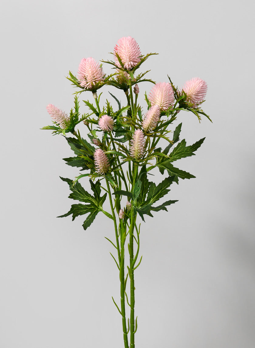 26.5in Long Sea Holly Spray Decor Jamaligarden