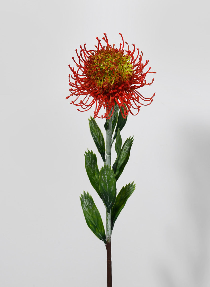 23.5in Long Blooming Protea Spray Decor Jamaligarden
