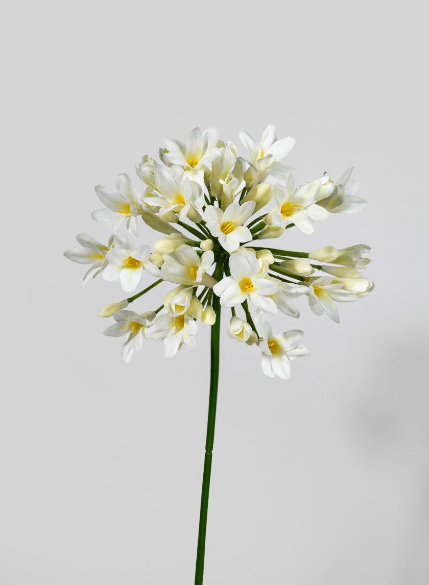 29.5in Long Agapanthus Spray Decor Jamaligarden