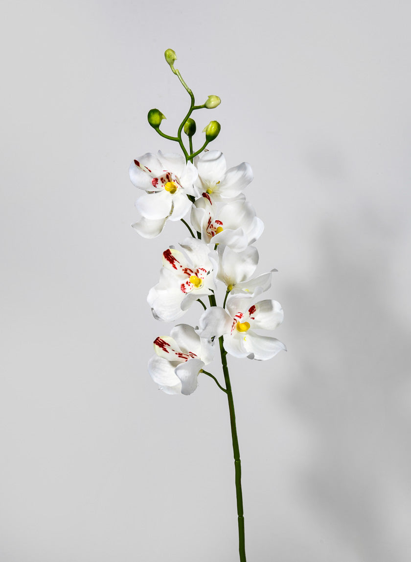 21in Long Mokara Orchid Spray Decor Jamaligarden