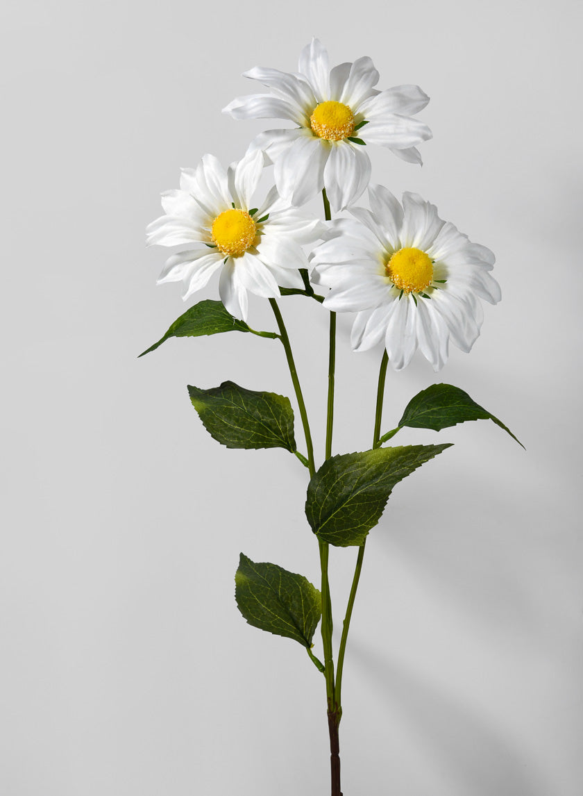 30in Long Royal Daisy Spray Decor Jamaligarden