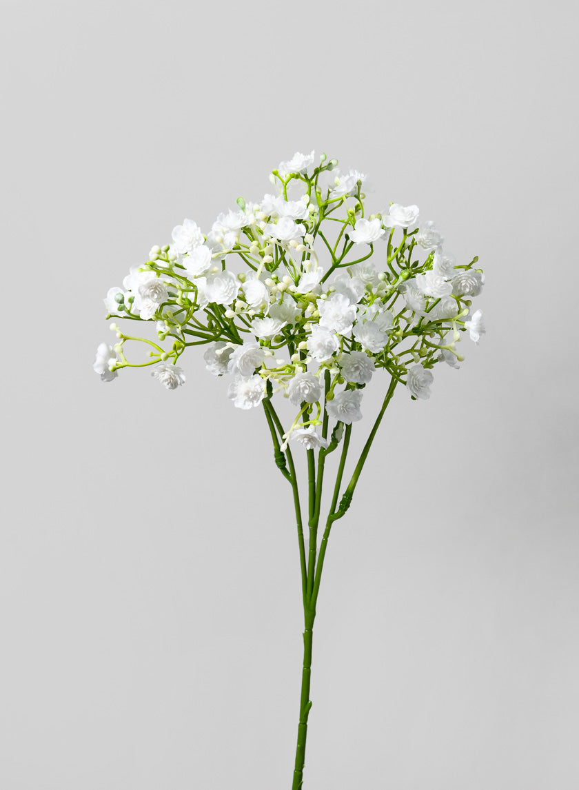 18in Long New Gypso Spray Decor Jamaligarden