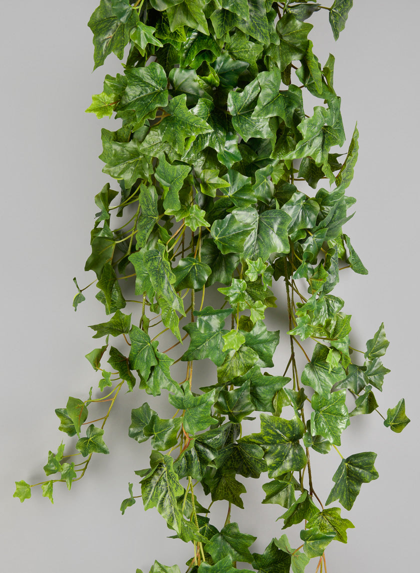 6ft Long Ivy Hanger Decor Jamaligarden