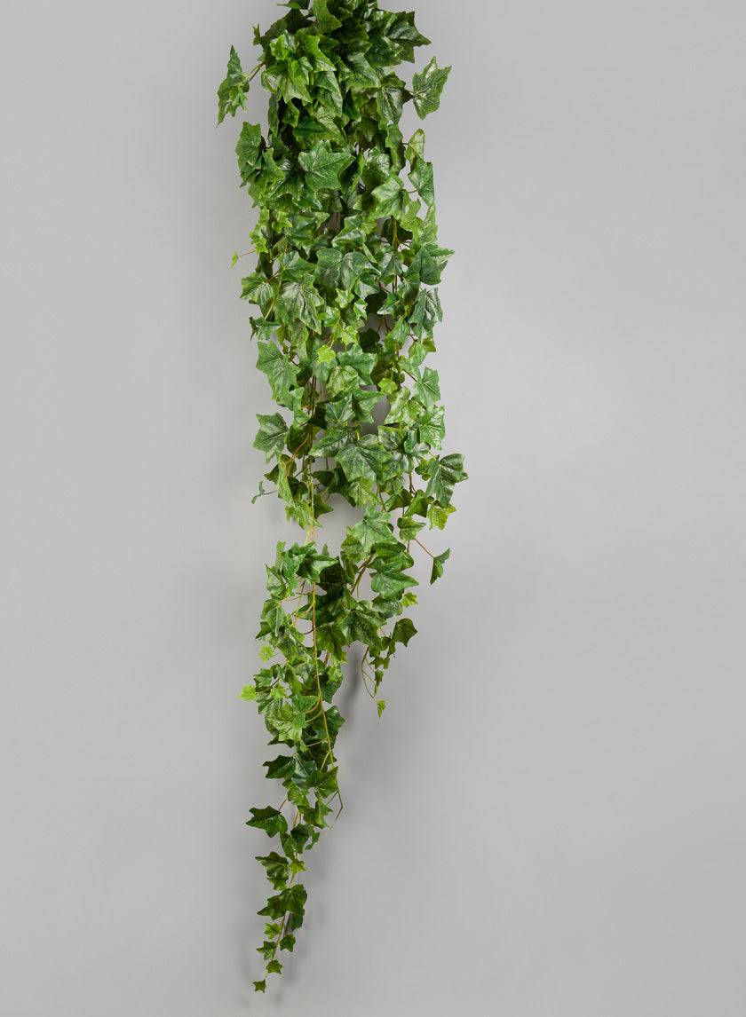6ft Long Ivy Hanger Decor Jamaligarden