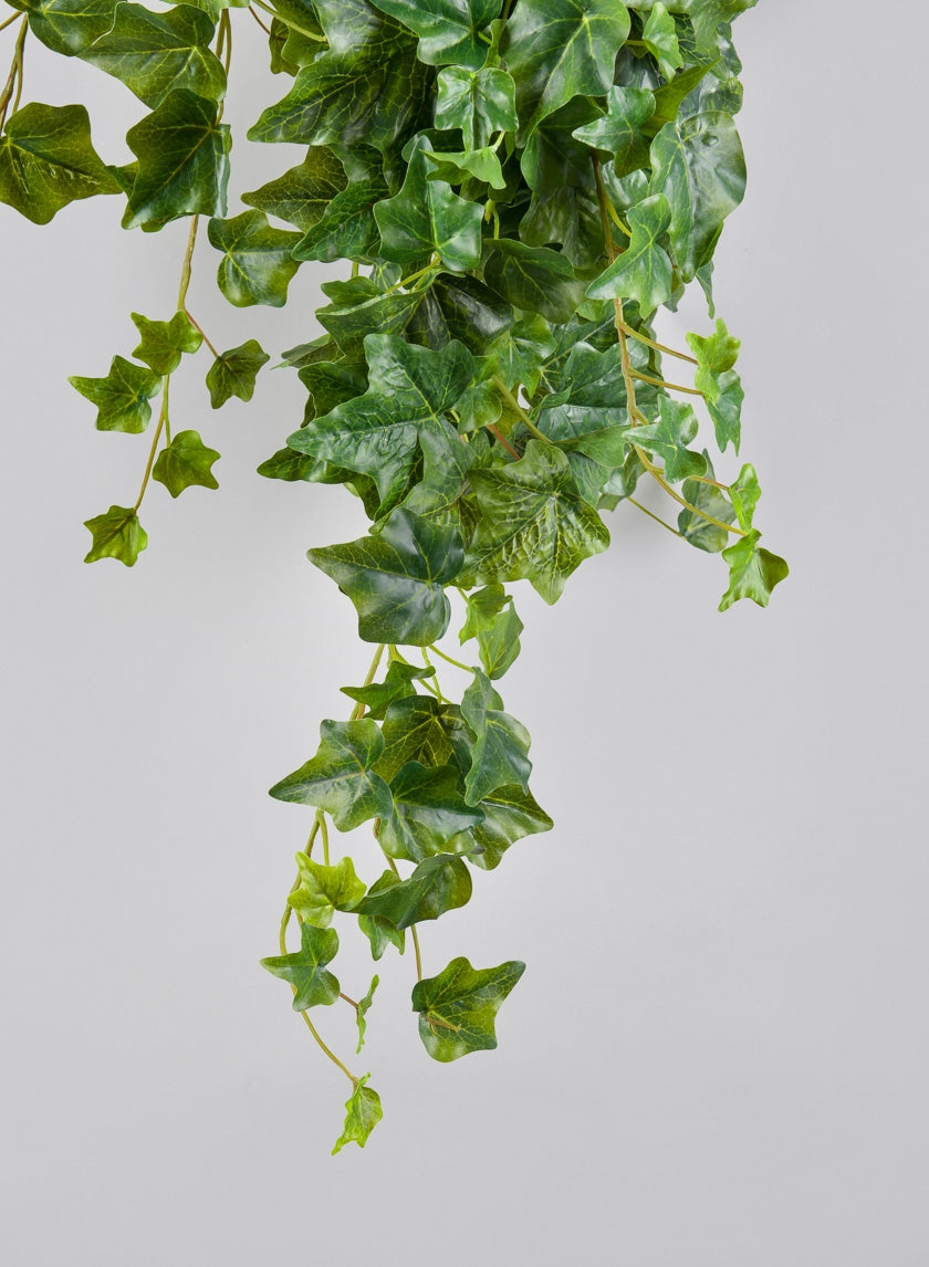 23.5in Long Ivy Hanger Decor Jamaligarden