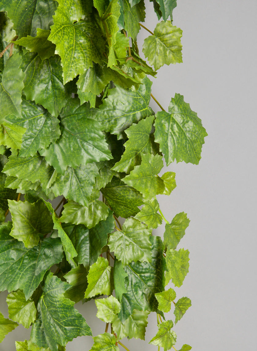 50in Long Grape Ivy Hanger Decor Jamaligarden