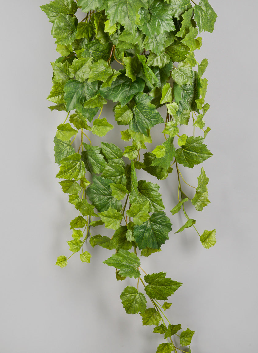 50in Long Grape Ivy Hanger Decor Jamaligarden