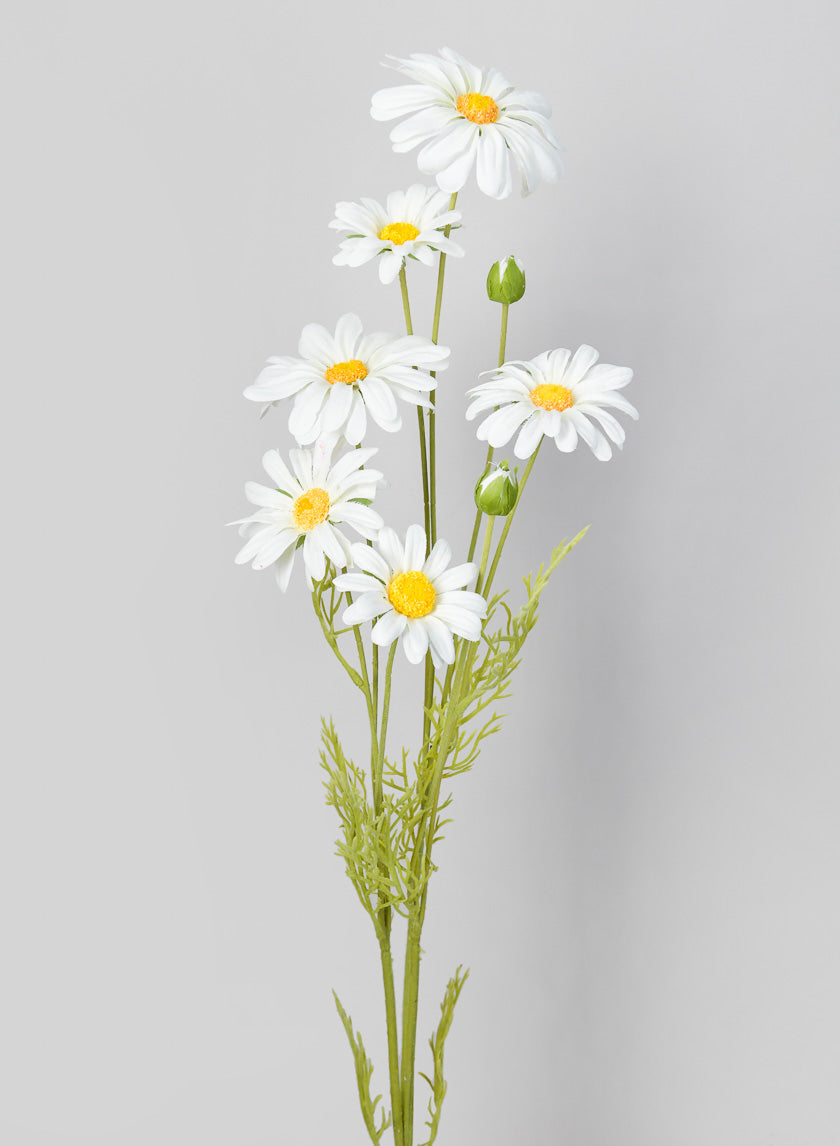 35in Long White Shasta Daisy Spray Decor Jamaligarden