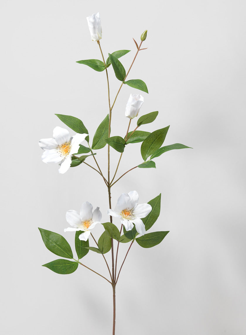 32.5in Long White Clematis Spray Decor Jamaligarden