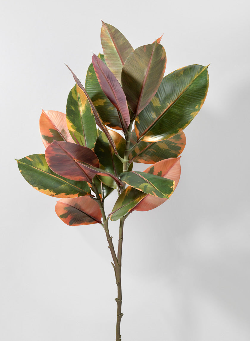 38.5in Long Ficus Elastica Leave Spray Decor Jamaligarden