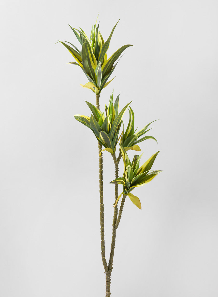 40in Long Fortune Bamboo Spray Decor Jamaligarden