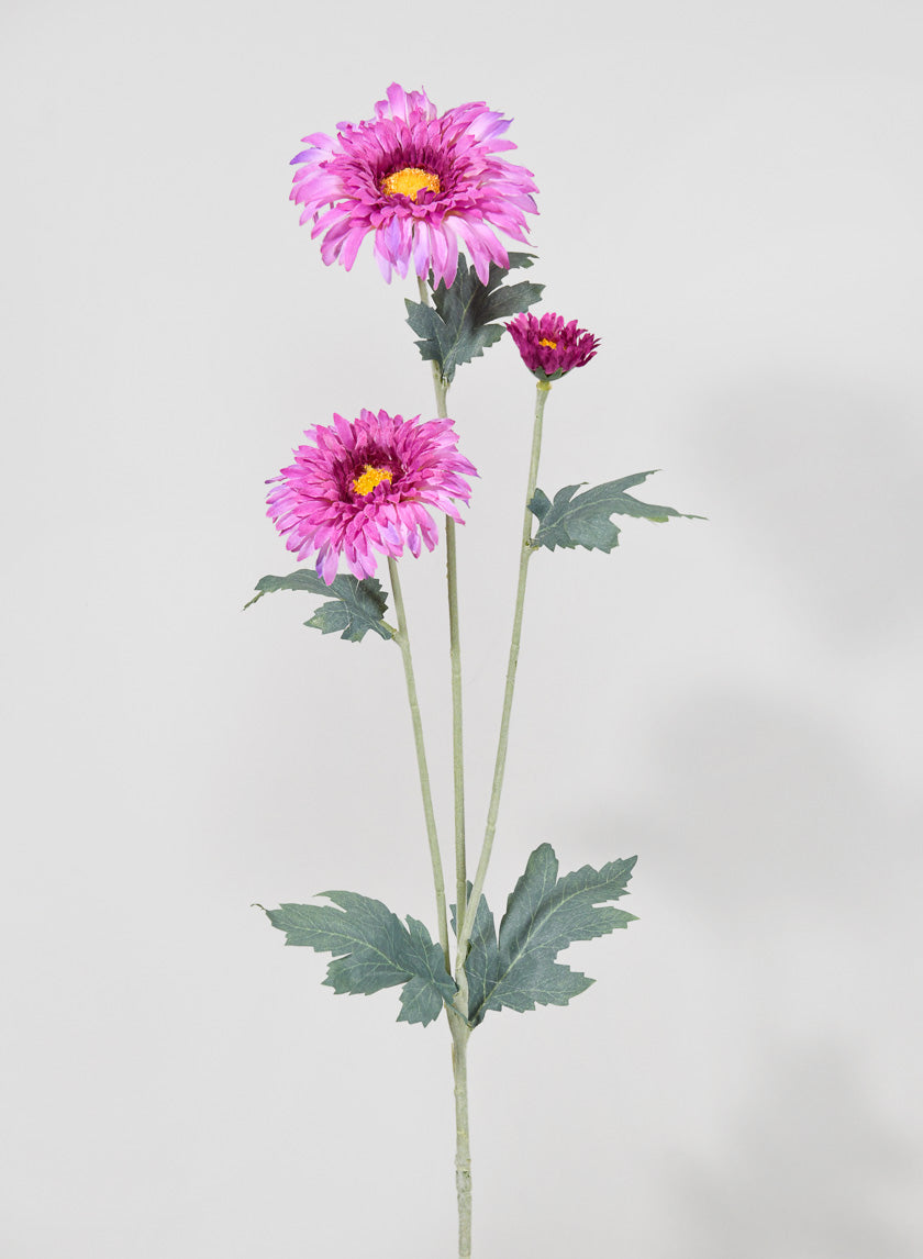 15in Long Lavender Transvaal Daisy Spray Decor Jamaligarden