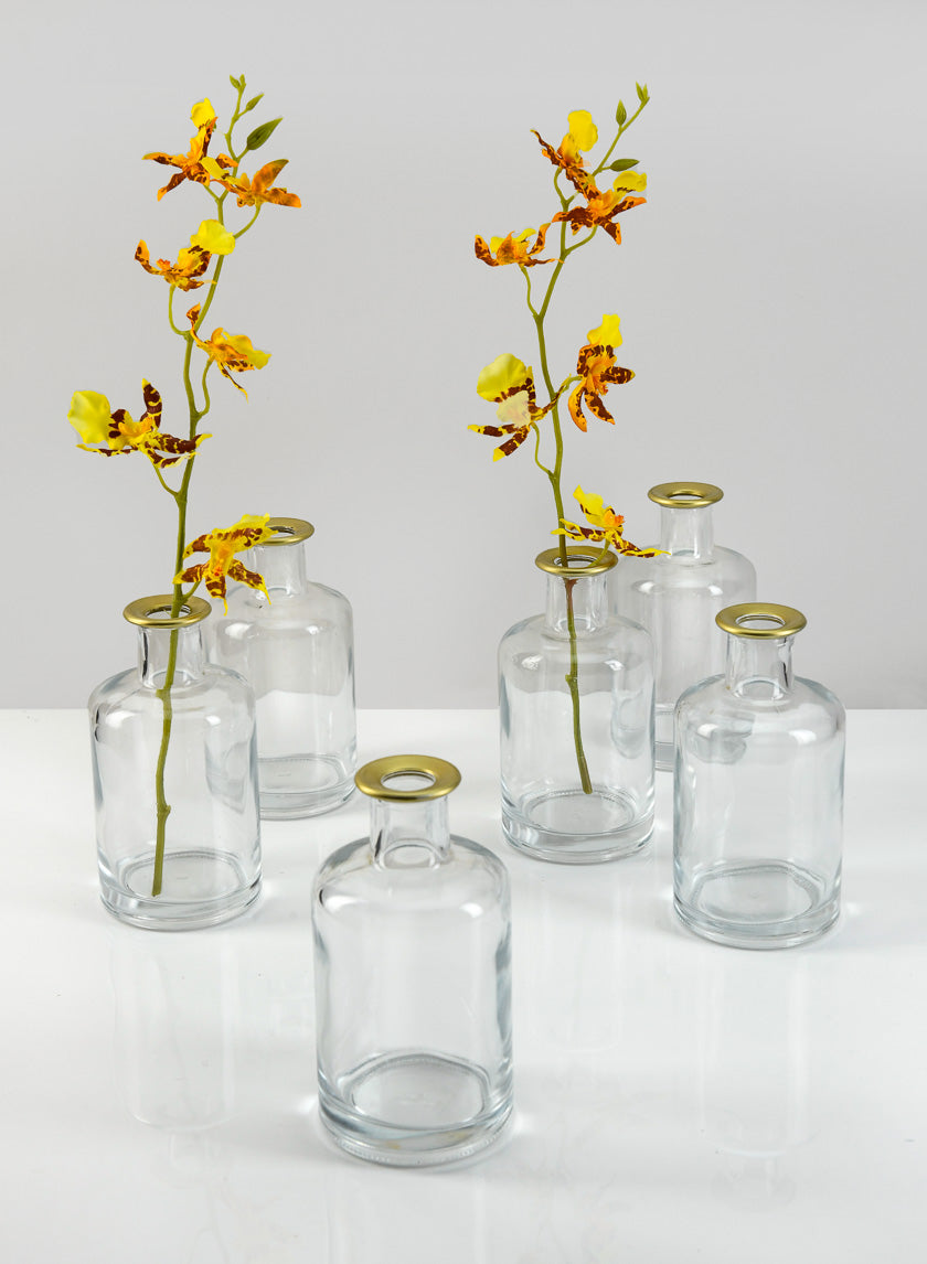 5.25in Tall Jolie Gold Rim Glass Bud Vase Decor Jamaligarden